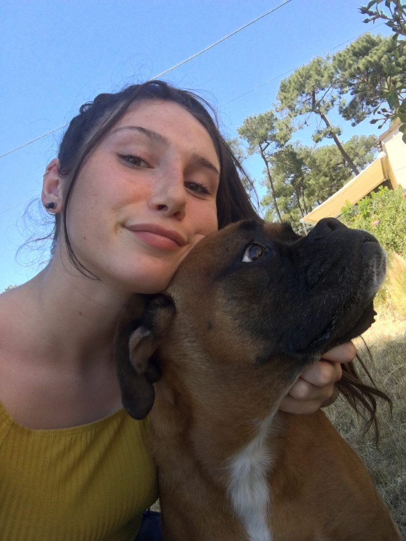 image_Garde d’animaux/promenade