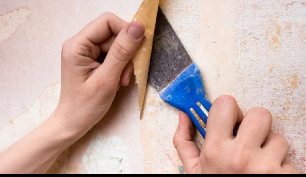image_Renovation mur - papier peints / peinture