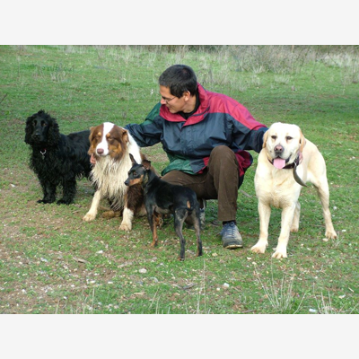 image_Garde, Pension et Education canine