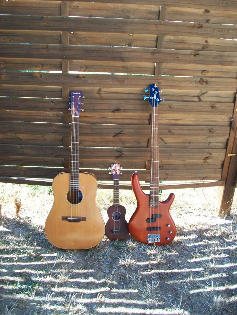 image_Cours de Guitare, de Ukulélé et de Basse