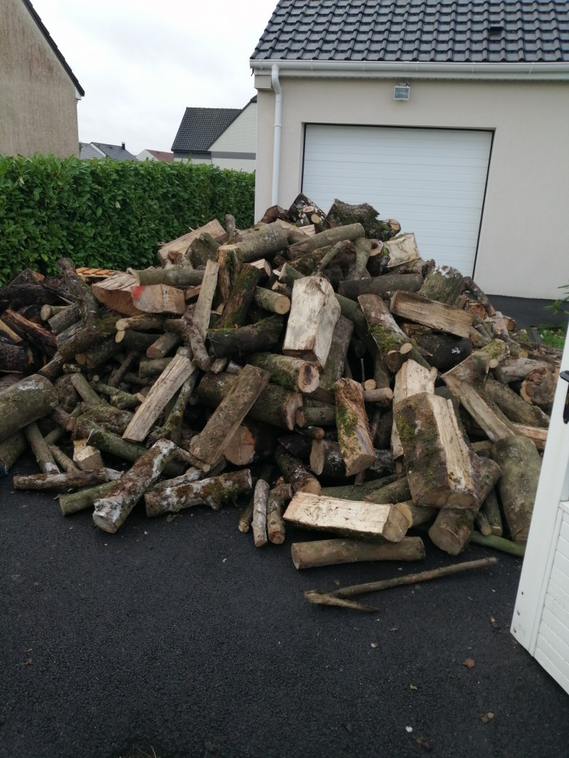 image_Bois de chauffage