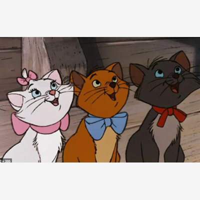 image_Qui veut garder mon chat ? (Paris )