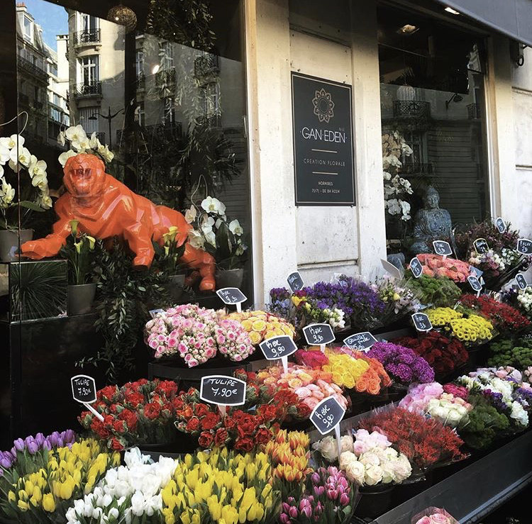 image_Recherche fleuriste expérimenté(e)