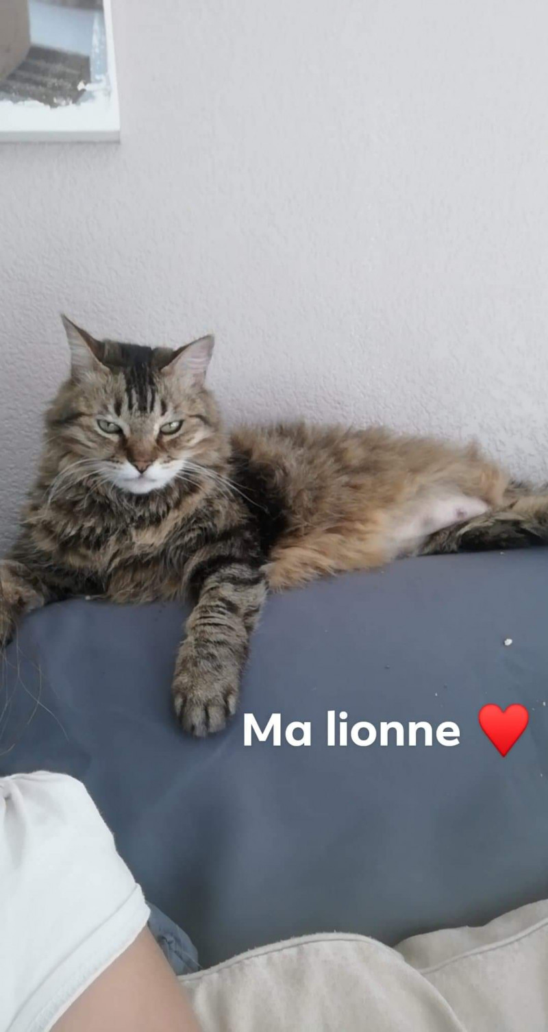 image_Garde d'animaux