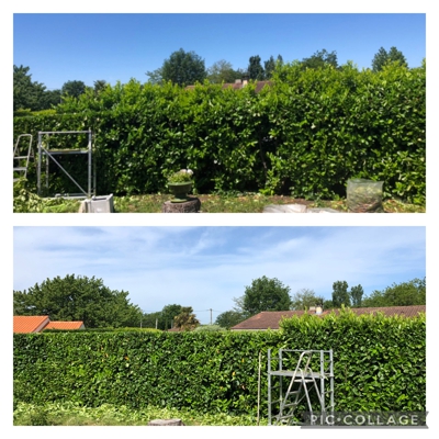 image_Jardinier Lauragais