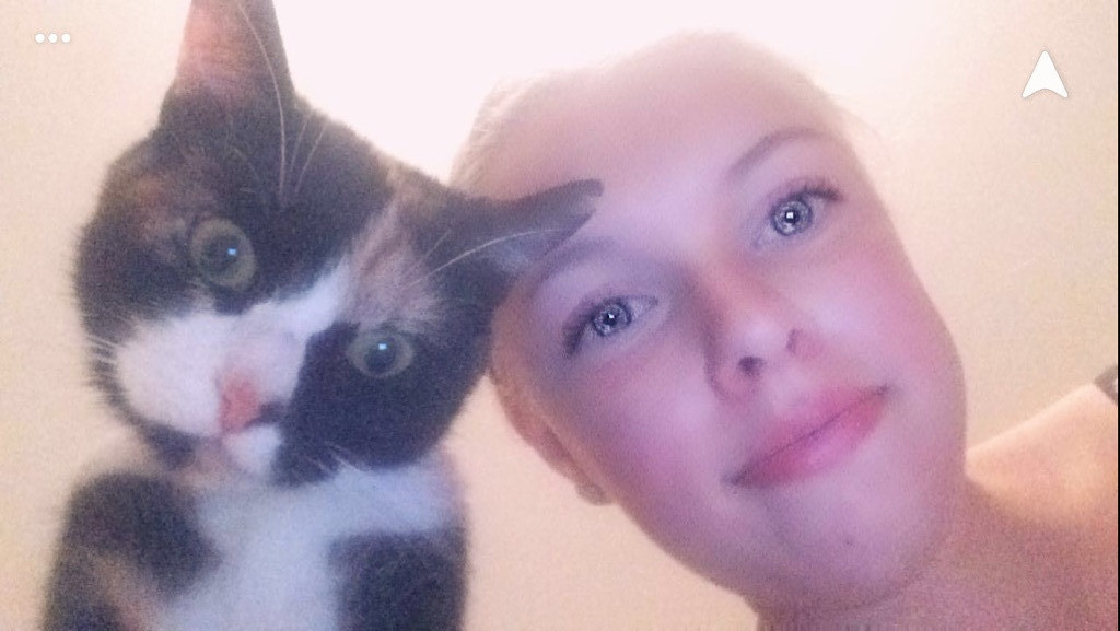 image_garde d animaux