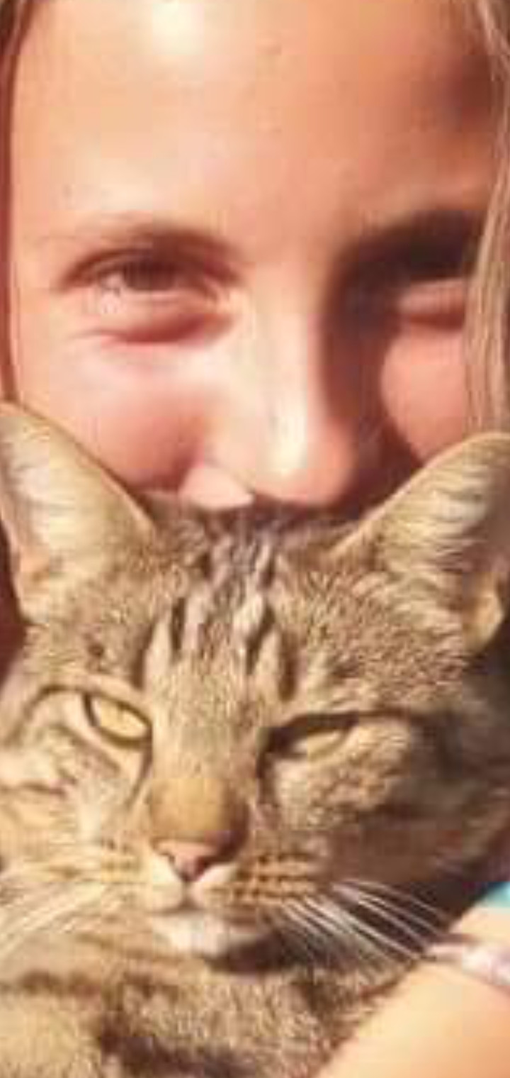 image_Garder vos chat ou chiens