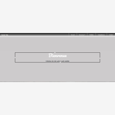 image_Développeur Web/Web mobile