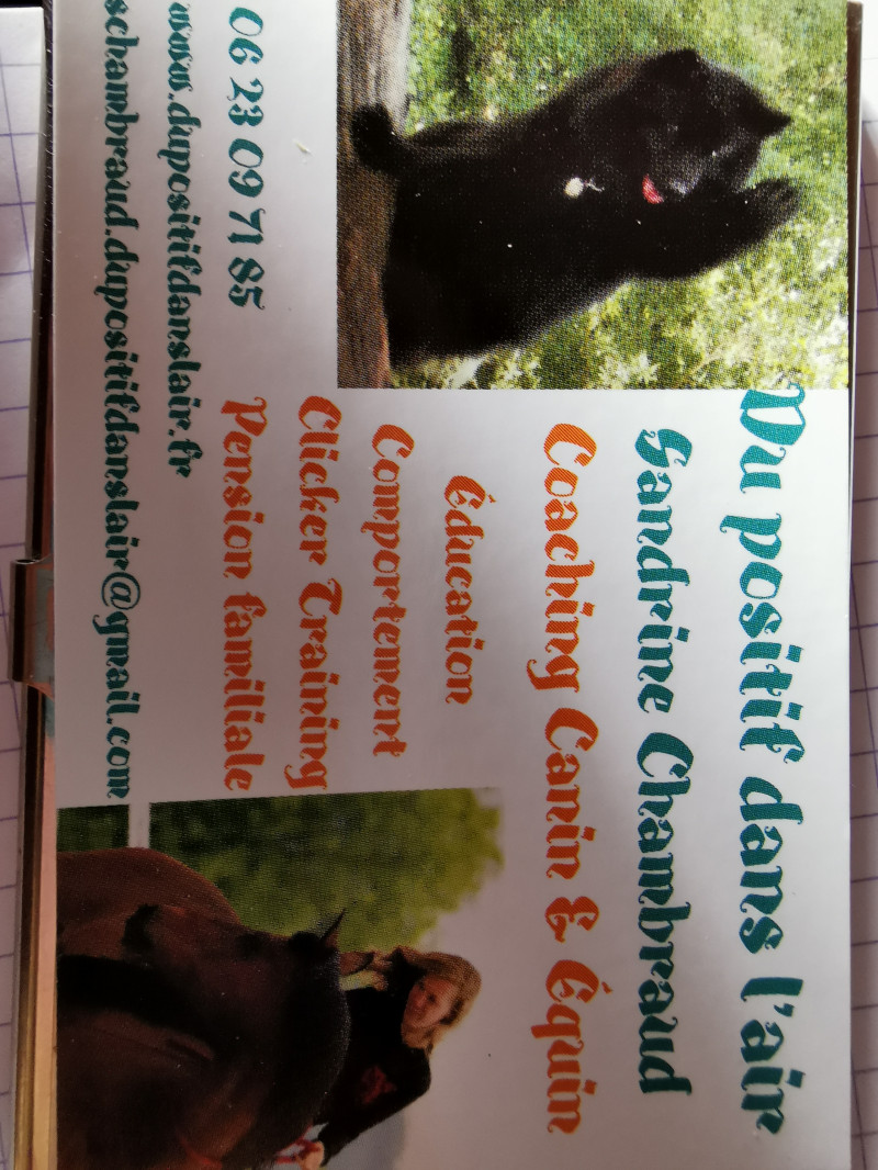 image_Education et Comportement Canin equin et félin