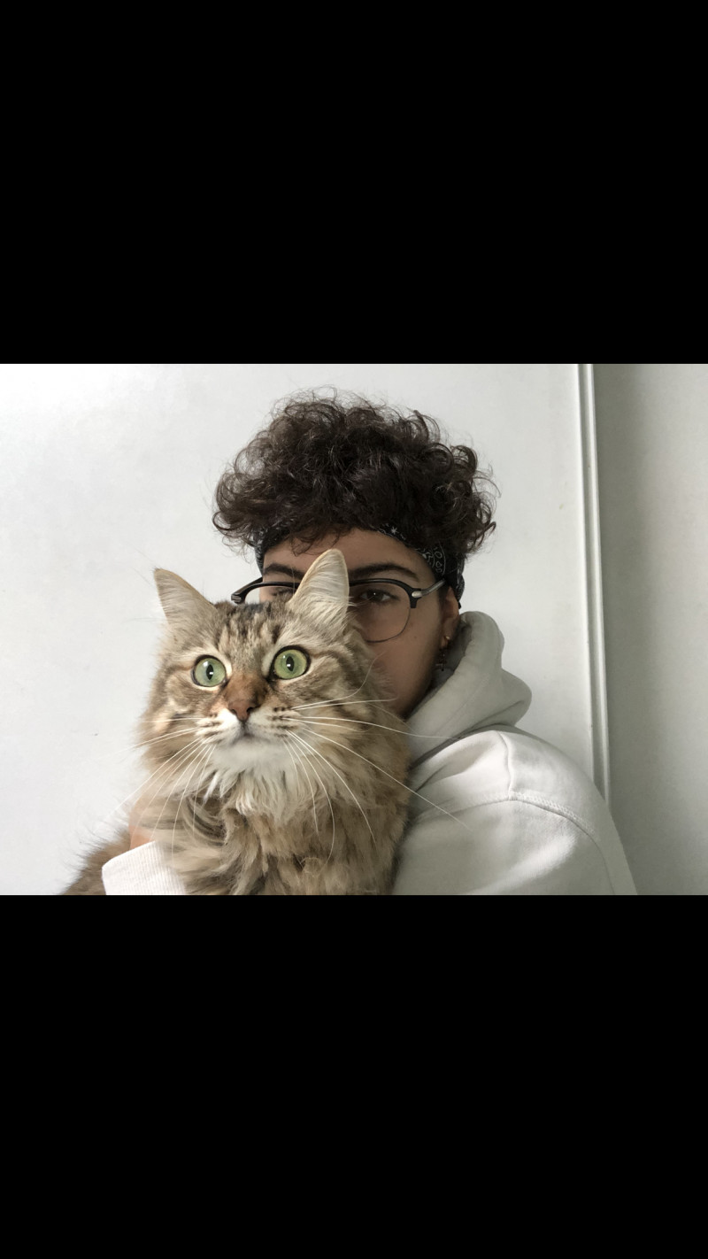 image_Garde d’animaux, ou service pour équidés