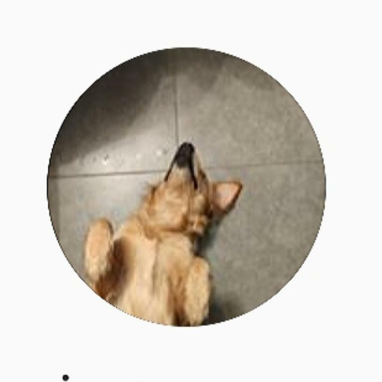 image_Garde tout type d'animaux