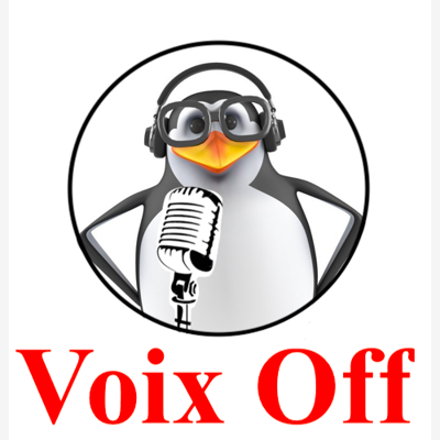 image_Voix Off pour E-learnings, vidéos explicatives, documentaires...