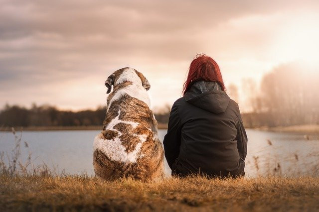 image_Garde d'animaux