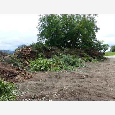 image_évacuation déchets verts
