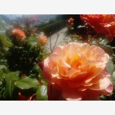image_Particulier