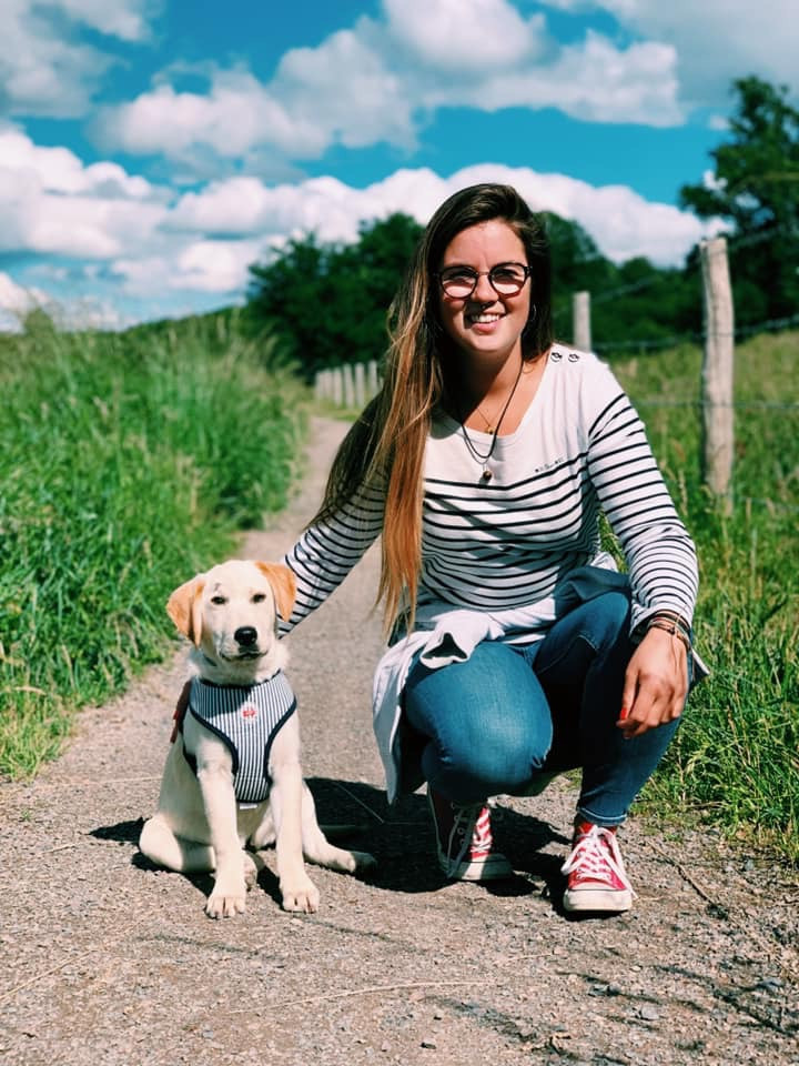 image_Pet sitter / Garde d’animaux