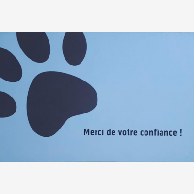 image_Garde d'animaux / Pet Sitting
