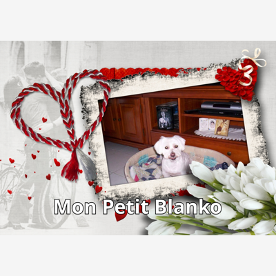 image_Garde de mon petit chien