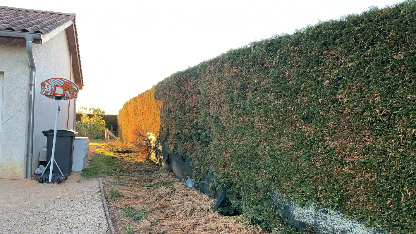 image_Tout type travaux de bricolage