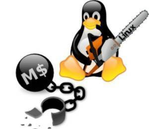 image_Microsoft Windows, Linux et Apple MacOS