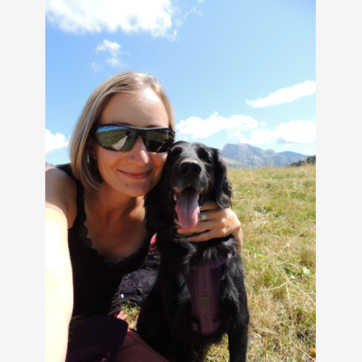 image_Garde d'animaux / Chiens