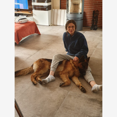 image_Garde de vos compagnons