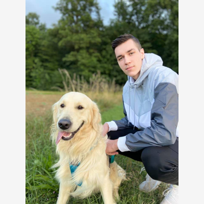 image_Garde/Promenade/Jeux - Chiens