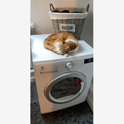 image_Garderie d’animaux