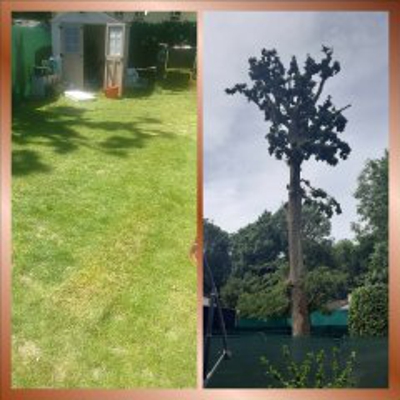image_Jardinage, taille, tonte, élagage, plantations, entretien et création
