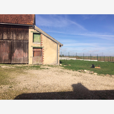 image_Garde Chien, Chat, Nac....
