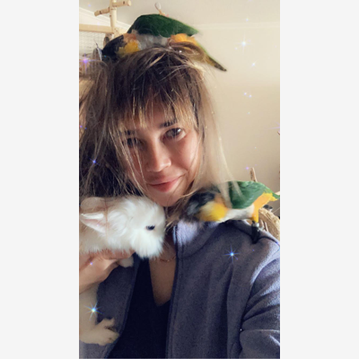 image_Garde d'animaux