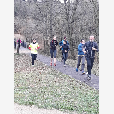 image_Animation Sportive