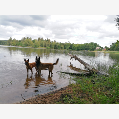image_Cherche personne de confiance
