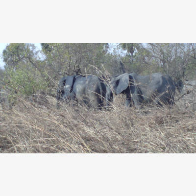 image_recherche pour le Bénin (afrique de l'ouest)