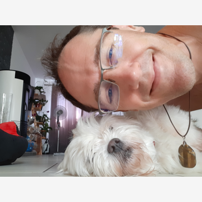 image_Rongeurs chat petits chiens