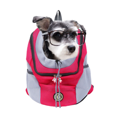 image_Recherche H/F 18 à 50 ans avec petit chien pour tournage publicité digitale