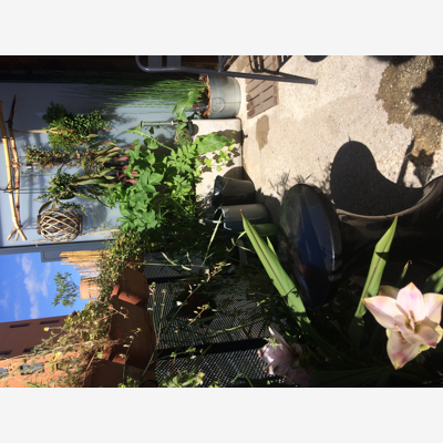 image_jardinage