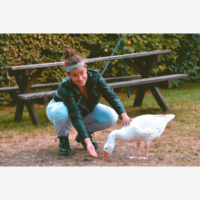 image_Pet Sitter