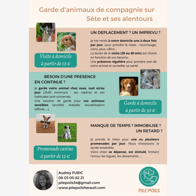 image_Visite à domicile - Promenade canine - Garde jour et nuit - Transport