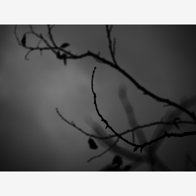 image_Recherche acteurs (H/F) pour court-métrage