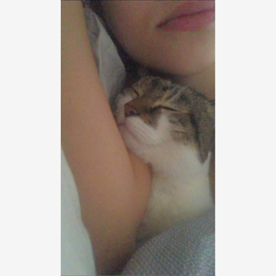 image_Garde d'animaux