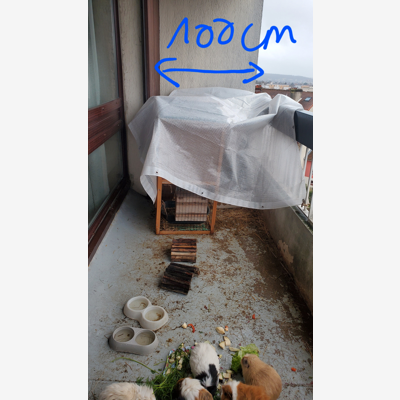 image_Recherche service petits travaux enclos animaux