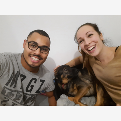 image_Garde de chien sur vos absences