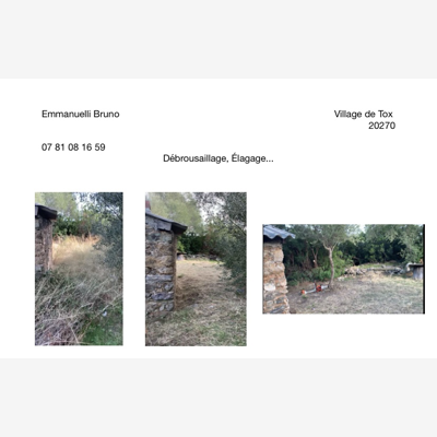 image_Jardinage