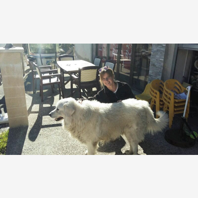 image_Garde/Promenade/Visite de chiens, Chat, autres animaux