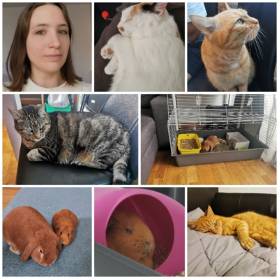 image_Pension familiale chats et Nacs
