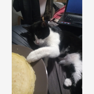 image_Garde Chatte