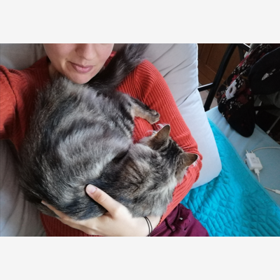 image_Visite ou garde d'animaux