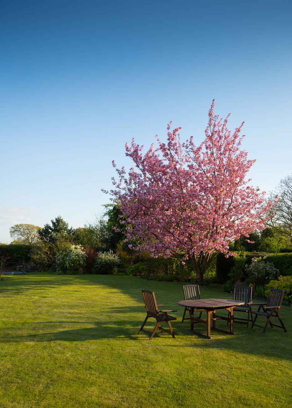 image_Jardin : pourquoi faire appel à un pro ?