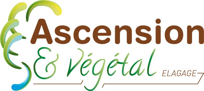 Ascension et Végétal